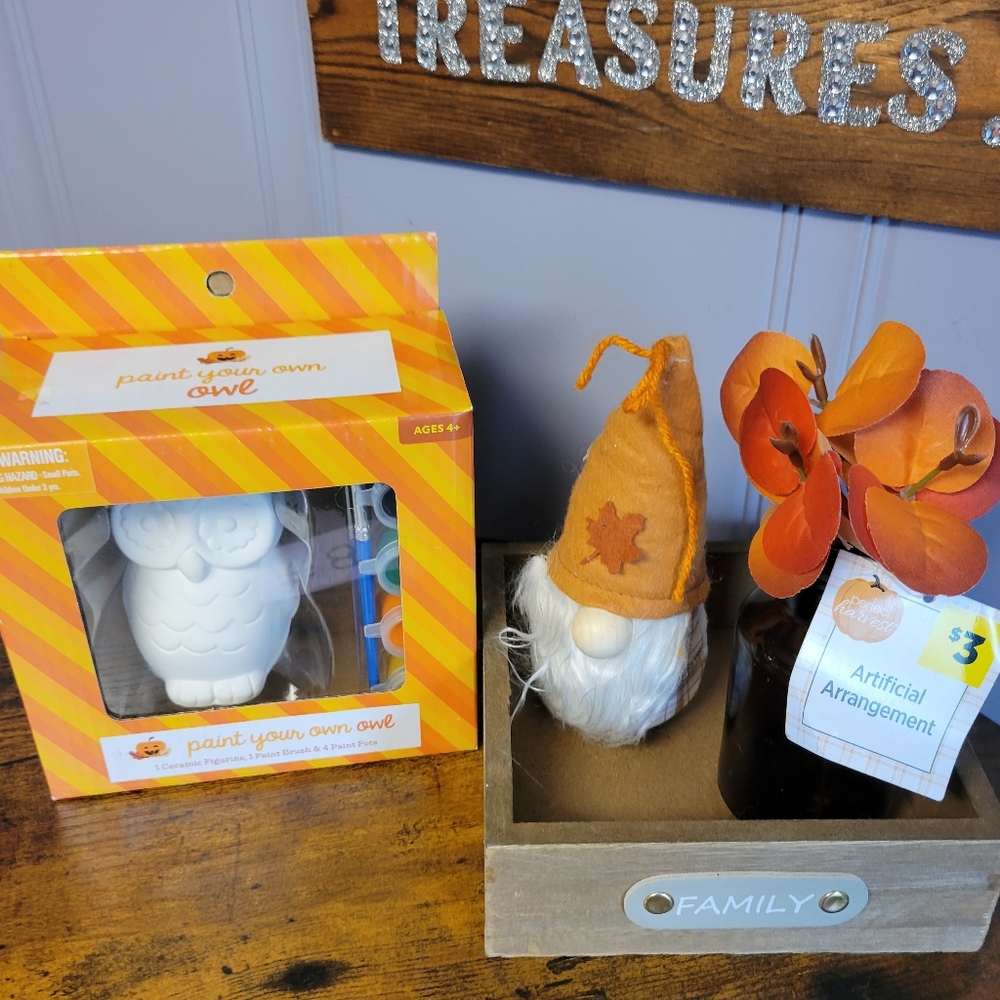 Lot of 4 Fall items owl craft kit,gnome,box,mini flower vase